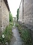 Walkway to Walled Gardens 576x768 - (76287 bytes)